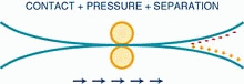 charge separation on sticky tape