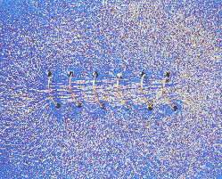 iron filings around a solenoid